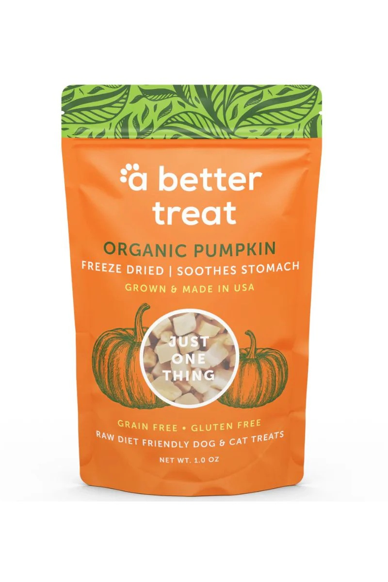 A Better Treat Freeze Dried Pumpkin 1 Oz