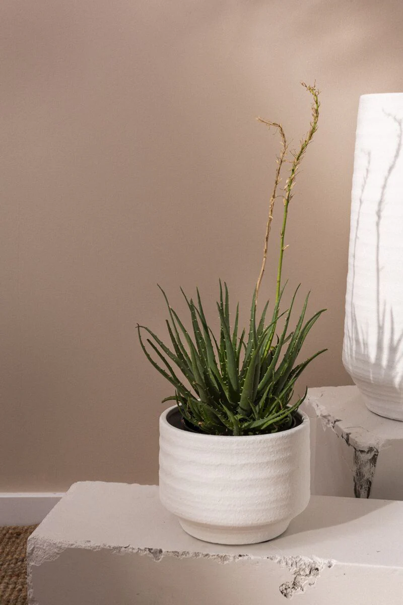 Andrade Pot 7.5"x 6" White