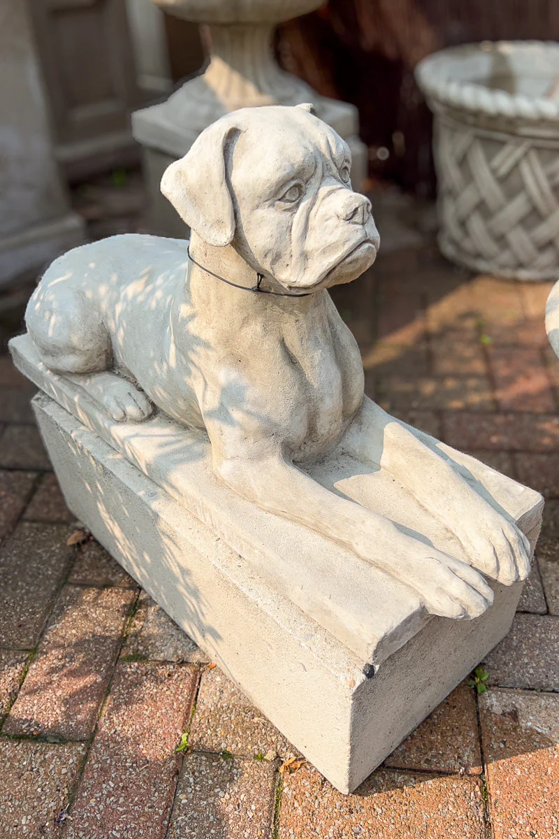 Campania Boxer Dog Statue GS Finish