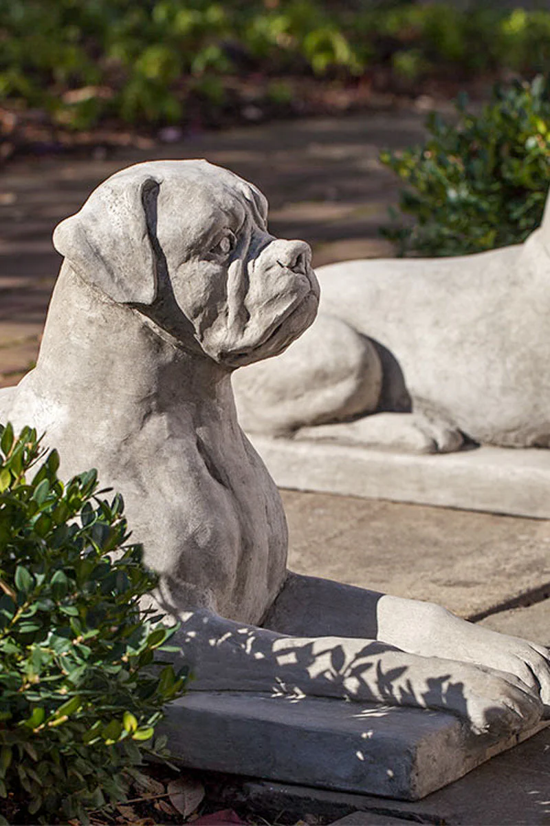 Campania Boxer Dog Statue GS Finish - Image 3