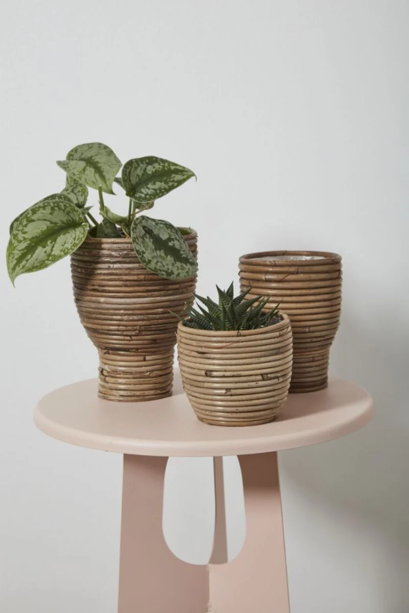 Aroon Pot 5"x 4.25"