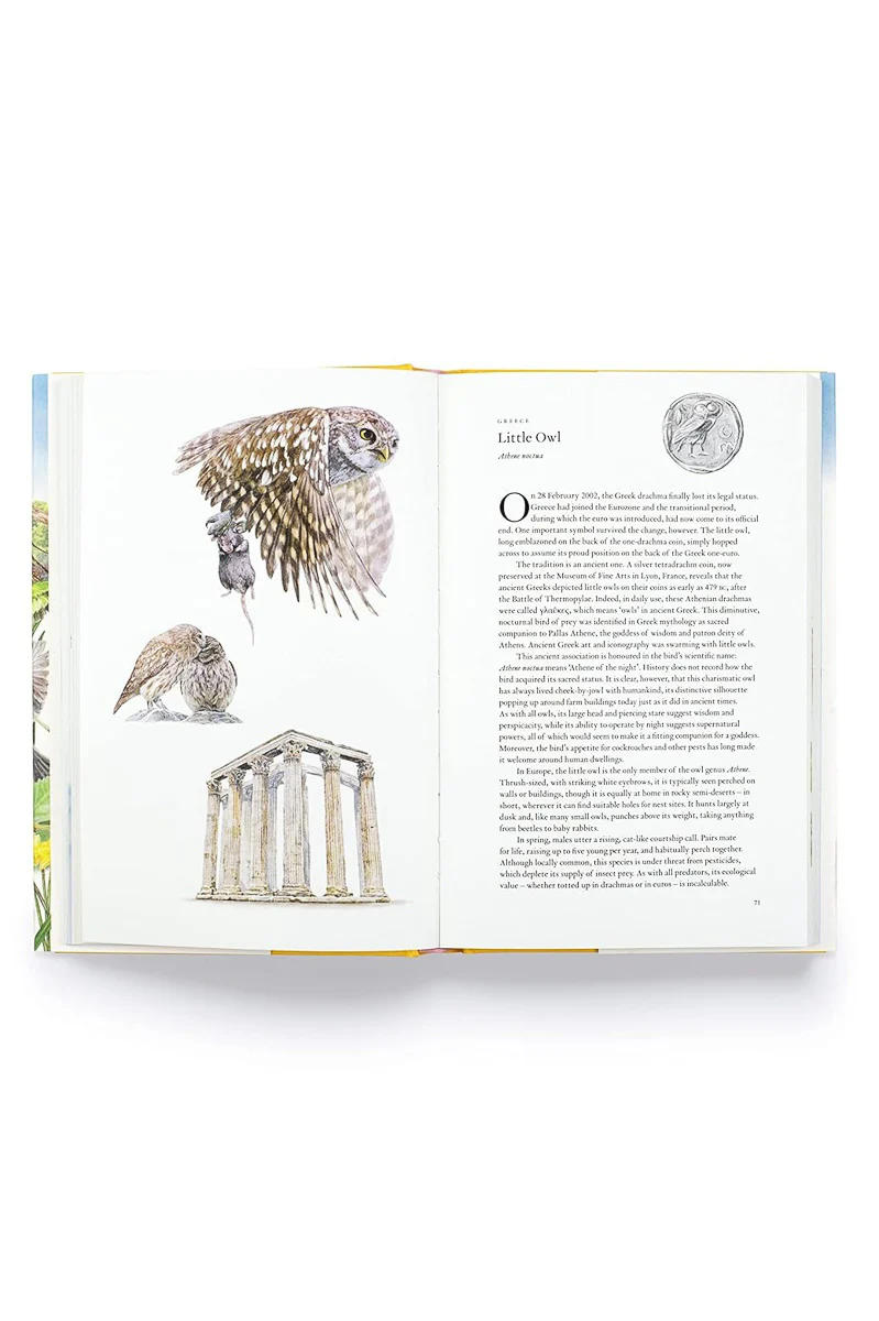 Around the World in 80 Birds - Image 2