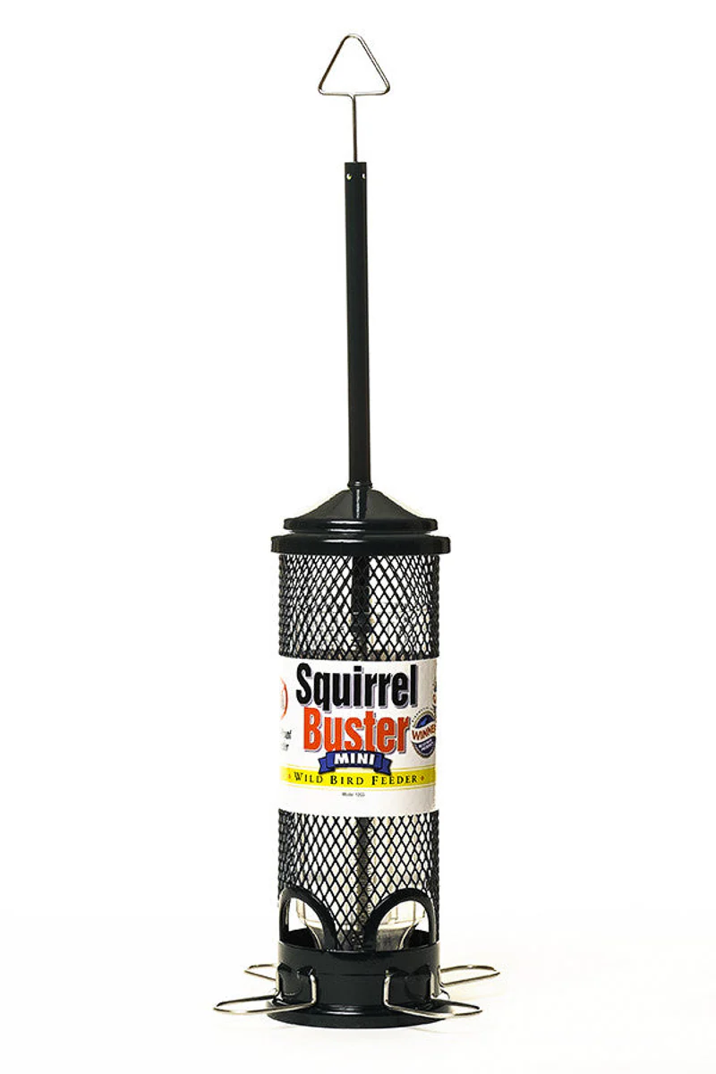 Brome Bird Care Mini Squirrel Buster Plus Feeder - Image 2