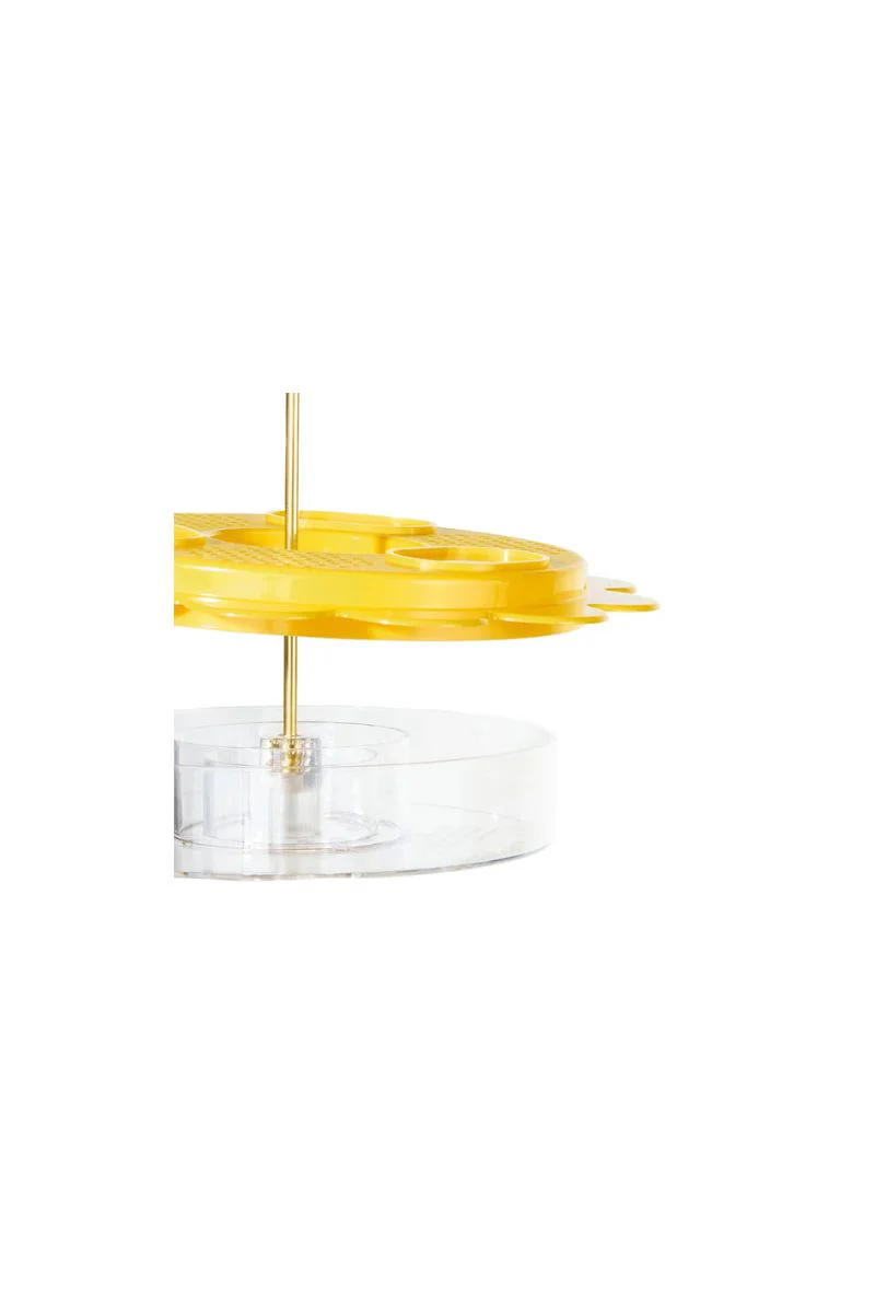 Birds Choice Flutterby Butterfly Feeder - Image 2