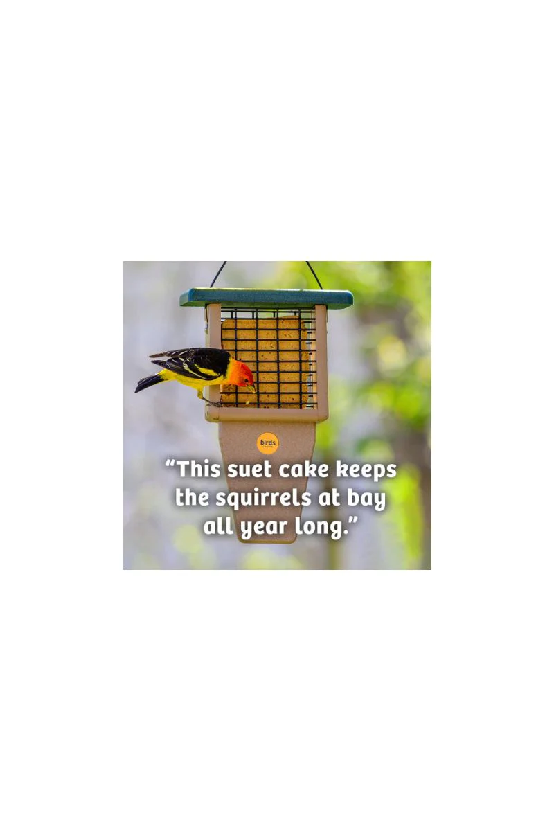 Birds Choice Hot Red Pepper No Melt Suet - Image 2