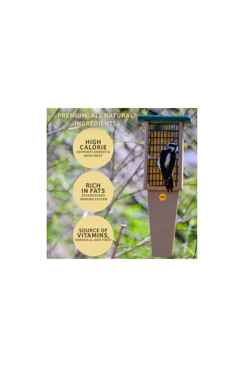 Birds Choice Peanut No Melt Suet
