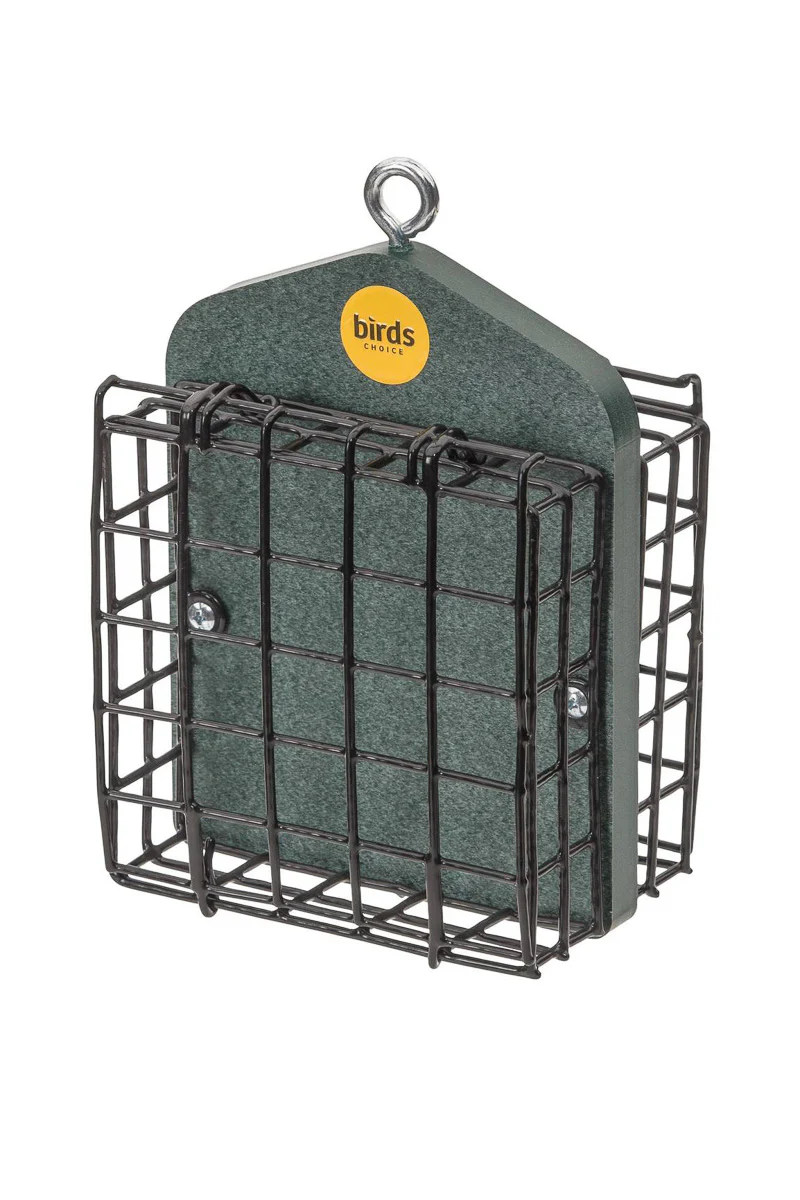 Birds Choice Suet Feeder for Two Cakes in Evergreen Recycled Plastic - Image 2