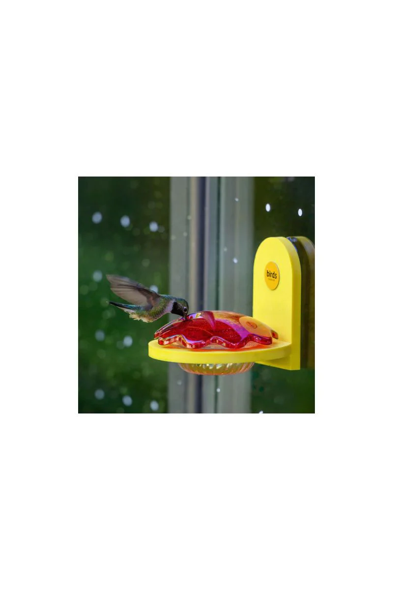 Birds Choice Window Mount Hummingbird Feeder Recycled Plastic Yellow