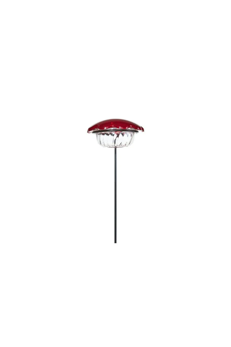 Birds Choice Hummingbird Feeder Single Cup Plant Stake