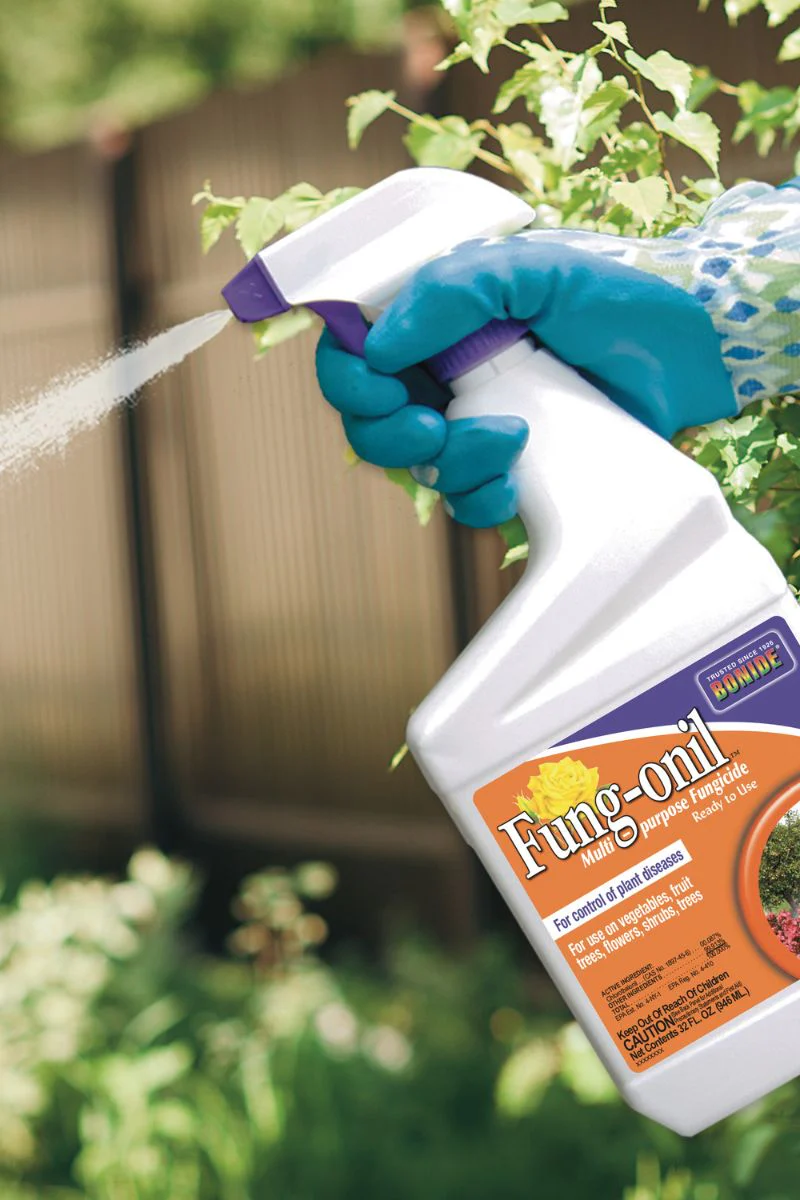 Bonide Fungonil 32oz Ready to Use - Image 2