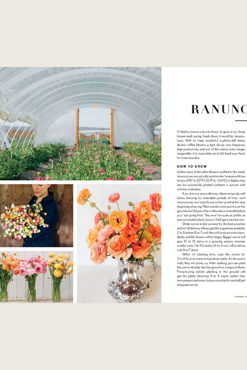 Floret Farm's Cut Flower Garden: Grow, Harvest, and Arrange Stunning Seasonal Blooms - Image 2