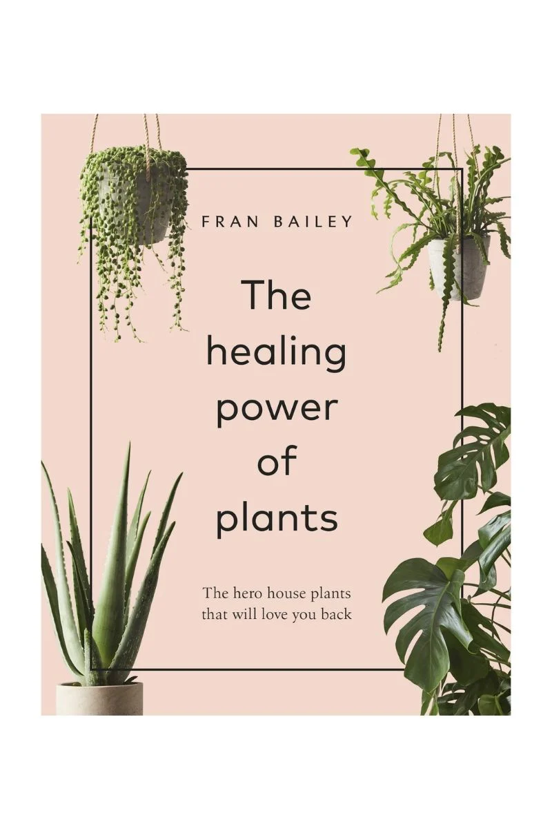 The Healing Power of Plants: The Hero Houseplants That Will Love You back