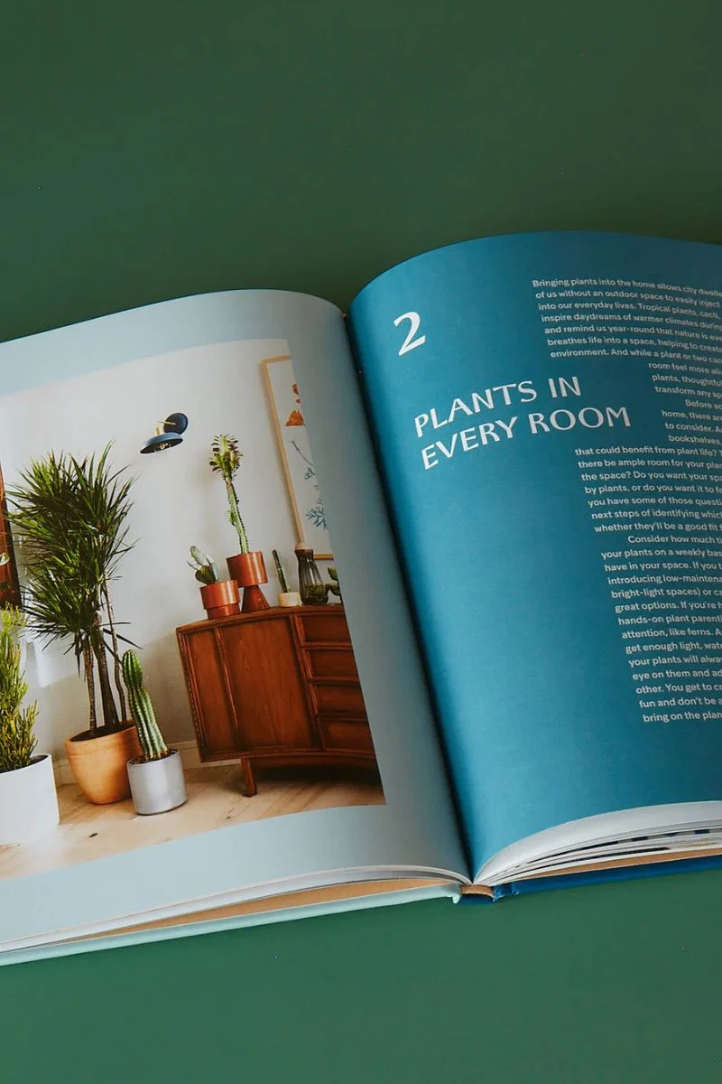 House Planted: Choosing, Growing, and Styling the Perfect Plants for Your Space - Image 2