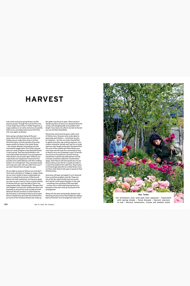 How to Grow the Flowers - Image 2