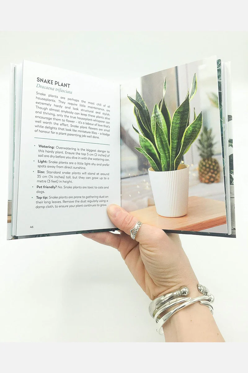 The Little Book for Plant Parents: Simple Tips to Help You Grow Your Own Urban Jungle - Image 2