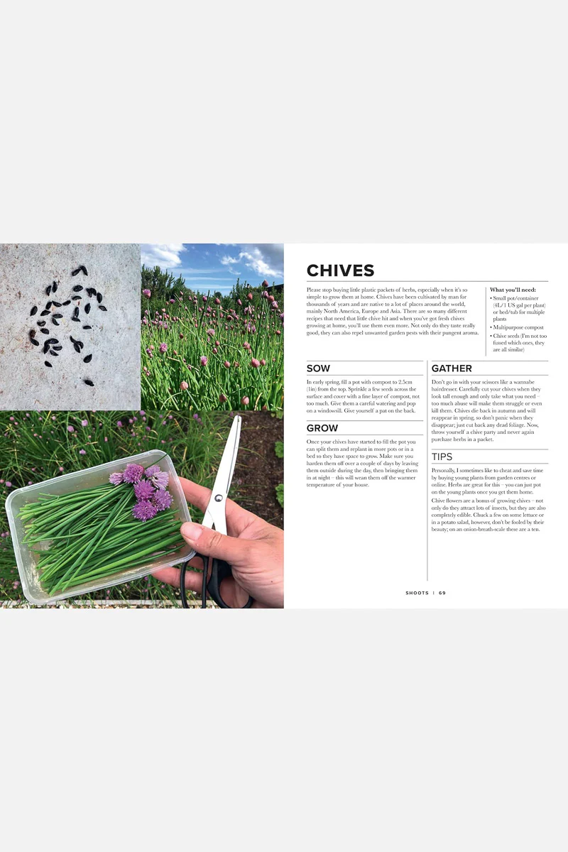 Sow Grow Gather: The Beginner's Guide to Growing an Edible Garden - Image 2