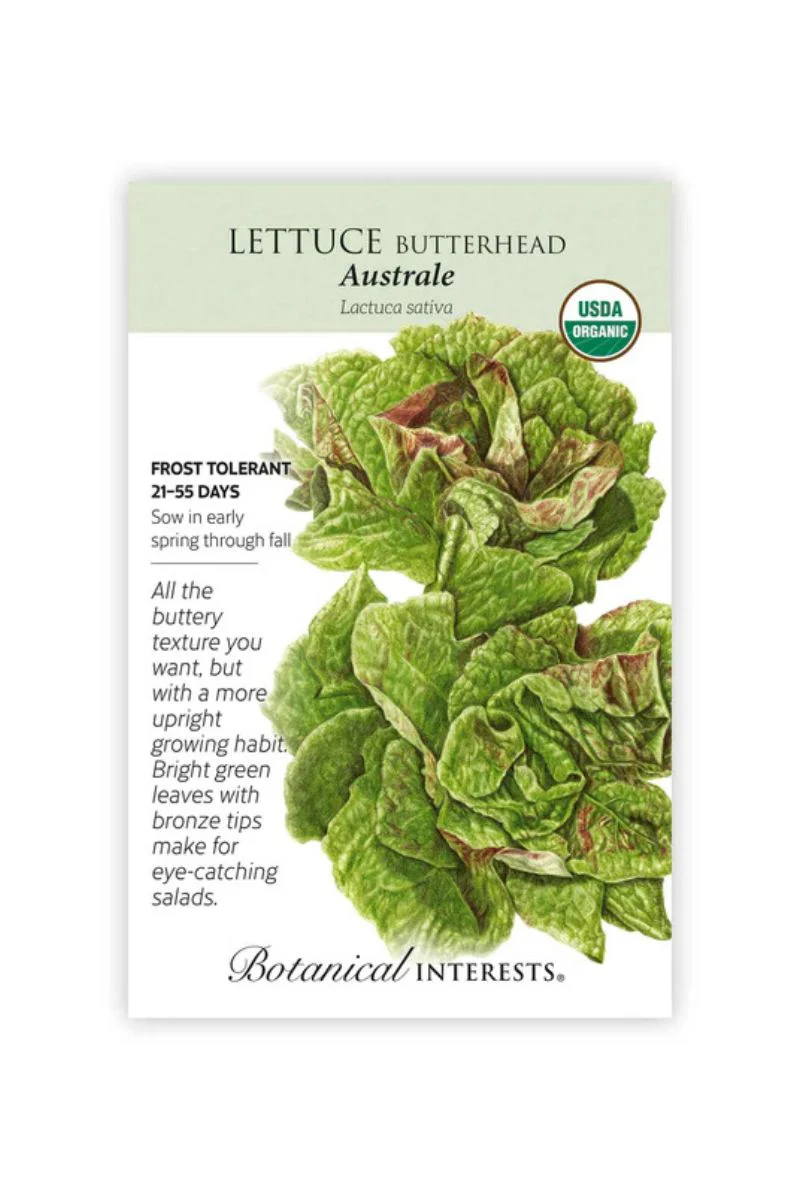 Botanical Interests Australe Butterhead Lettuce Organic Seeds