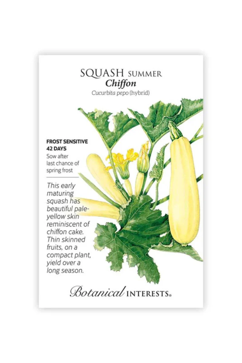 Botanical Interests Chiffon Summer Squash Seeds