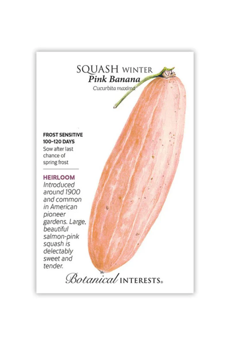 Botanical Interests Pink Banana Winter Squash Seeds