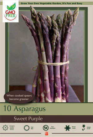 Asparagus Sweet Purple 10 Pack