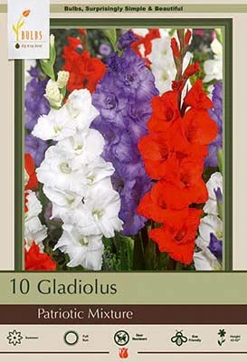 Gladiolus Large Flowering Patriotic Mixture10 Pack