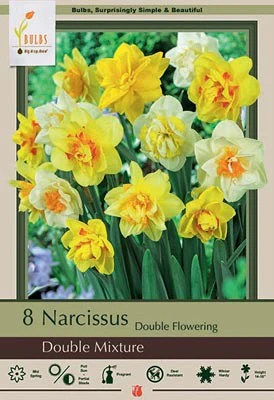 Narcissus Double Mixture Bulbs 7/Pack