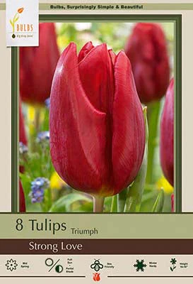 Strong Love Tulip Bulbs 7 Pack