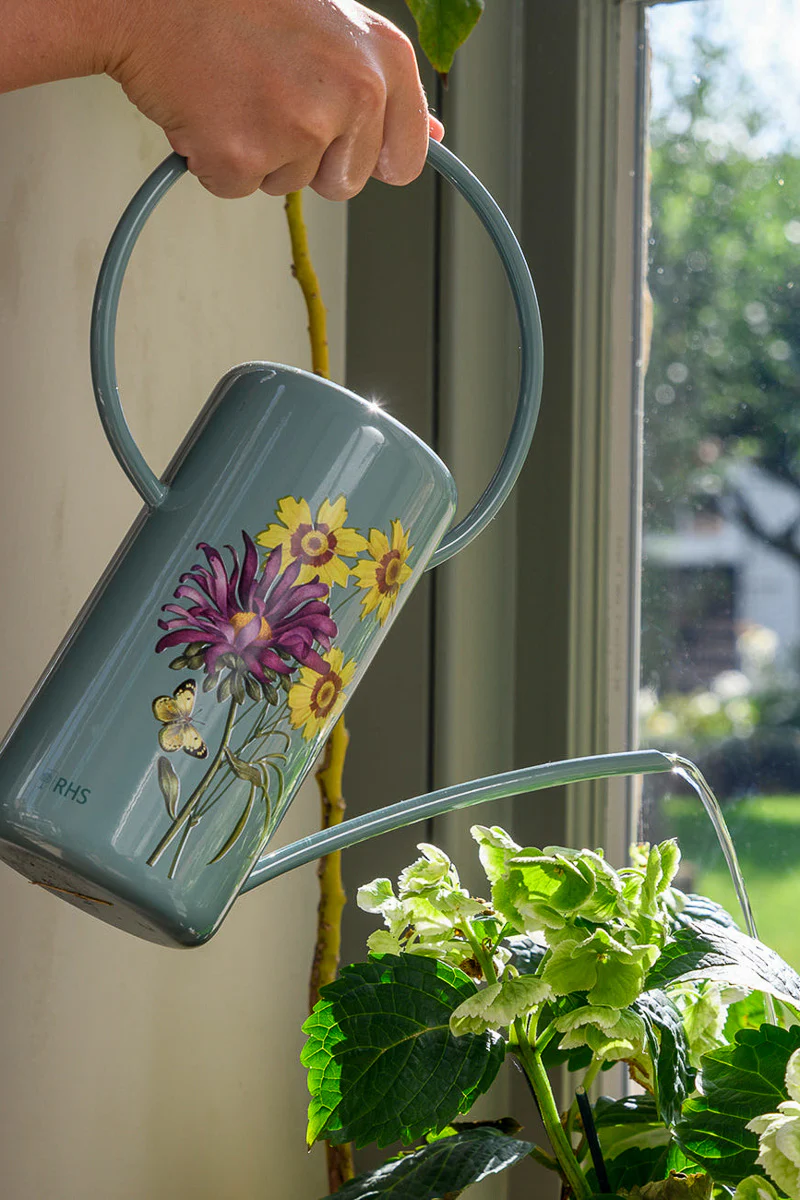 Burgon & Ball Asteraceae Watering Can - Image 2