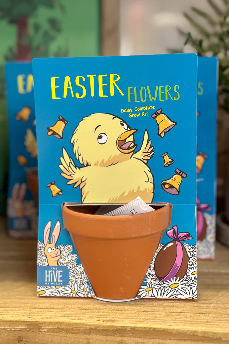 Buzzy Seeds Egg Box - Happy Easter Organic Seeds