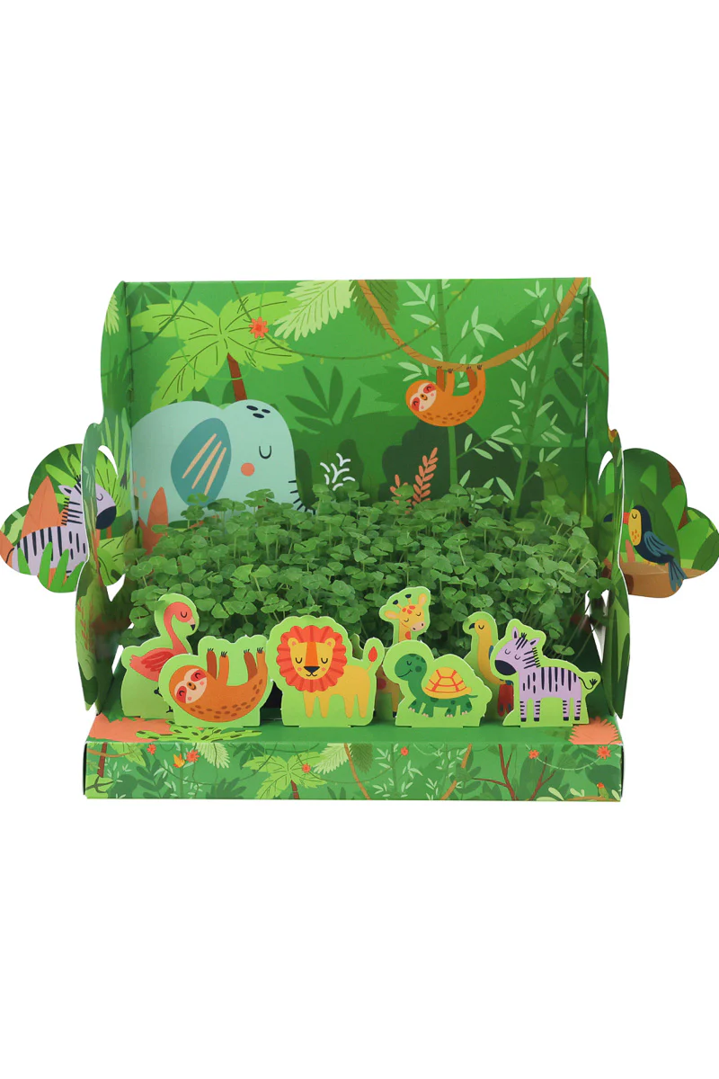 Buzzy Seeds Pop-Up Garden - Jungle