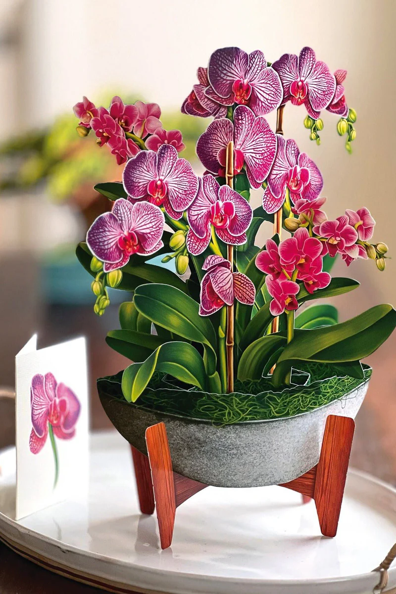 FreshCut Paper Orchid Oasis - Image 2