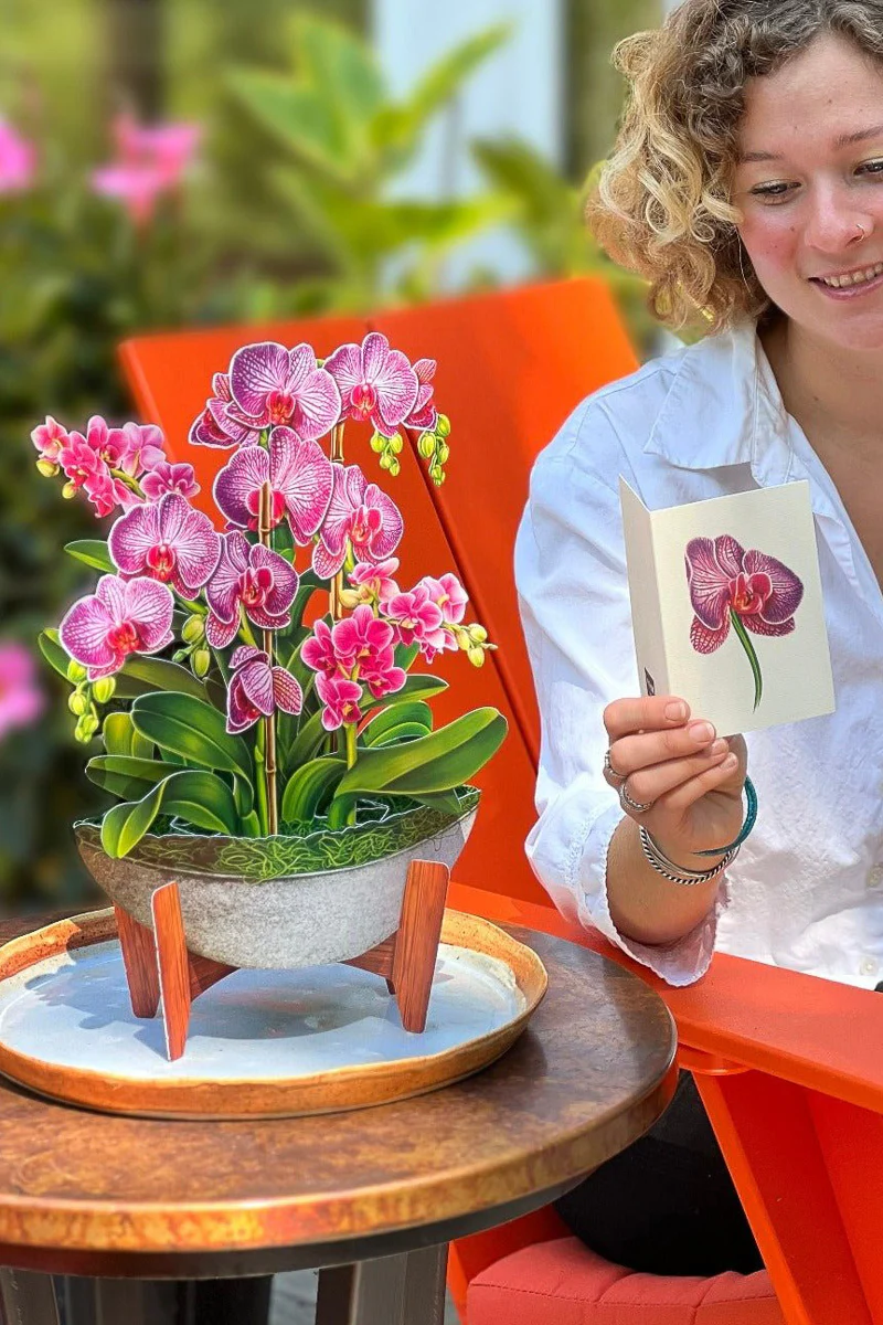 FreshCut Paper Orchid Oasis - Image 3