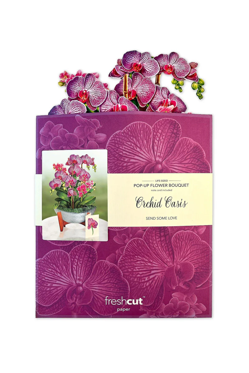 FreshCut Paper Orchid Oasis - Image 4