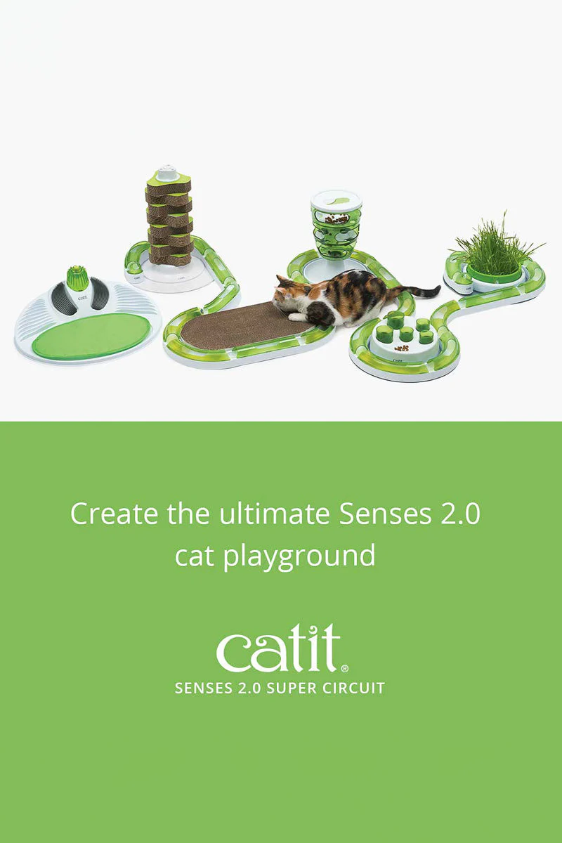 Catit Play Circuit Cat Toy - Image 2