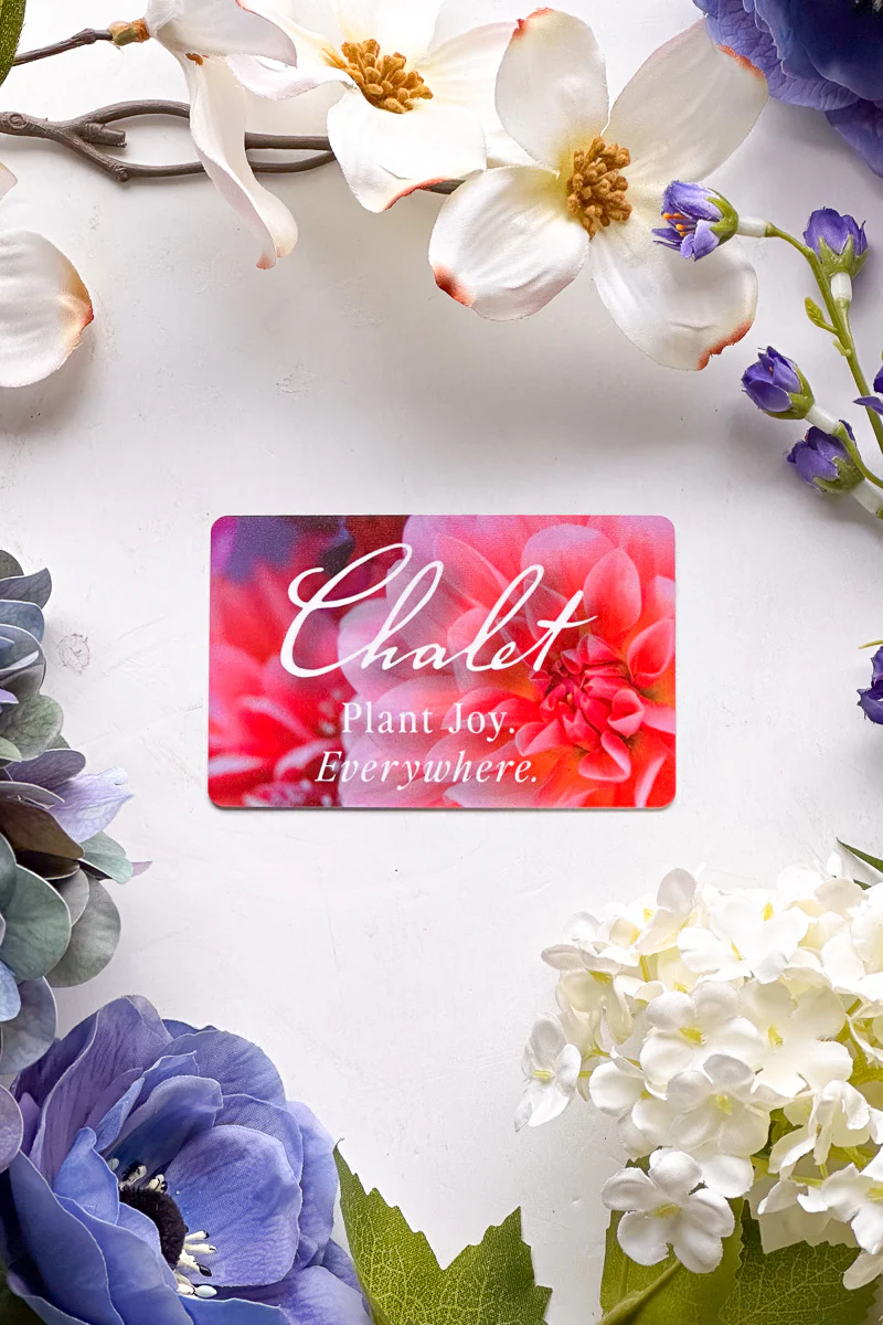 Physical Gift Card - Image 2
