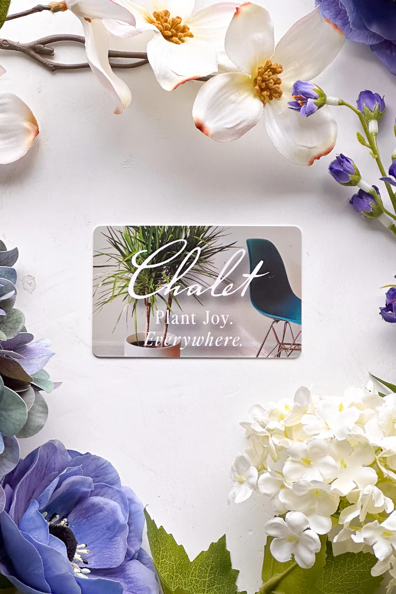 Physical Gift Card - Image 4