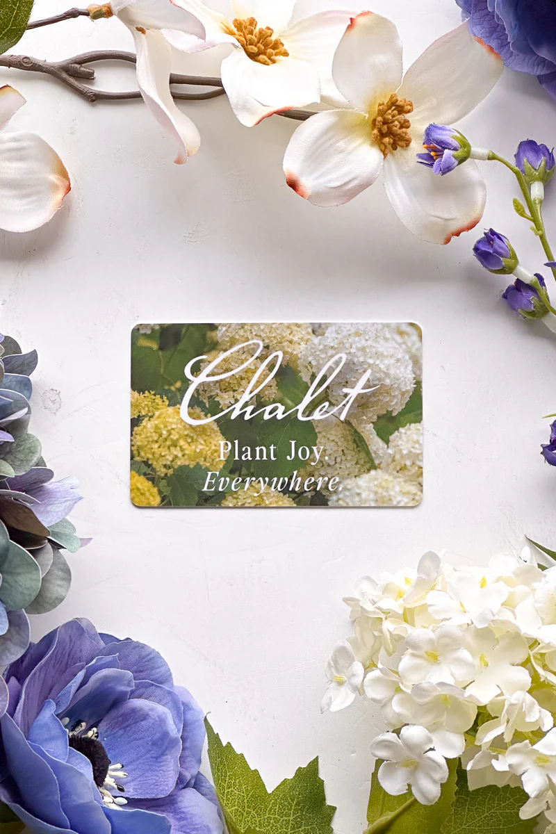 Physical Gift Card - Image 5