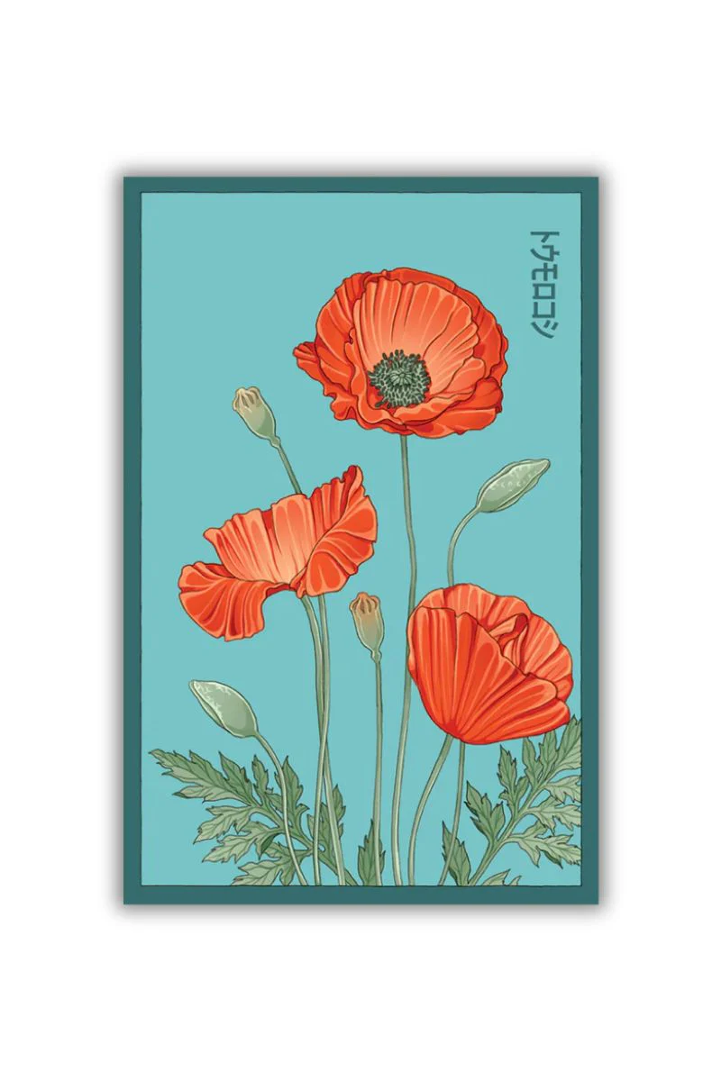 Chive Corn Poppy Flower Seeds