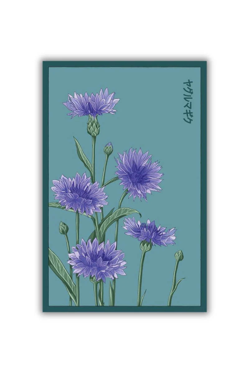 Chive Cornflower Blue Seeds