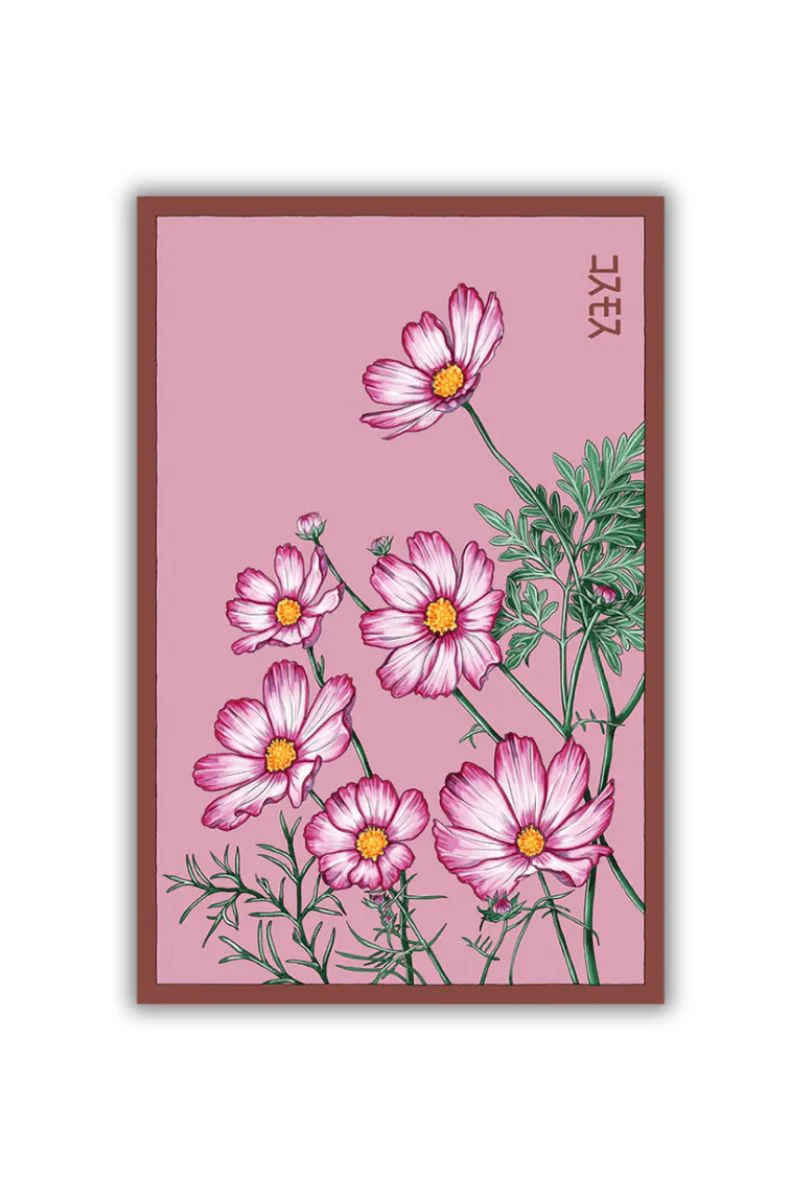 Chive Cosmos Flower Seeds