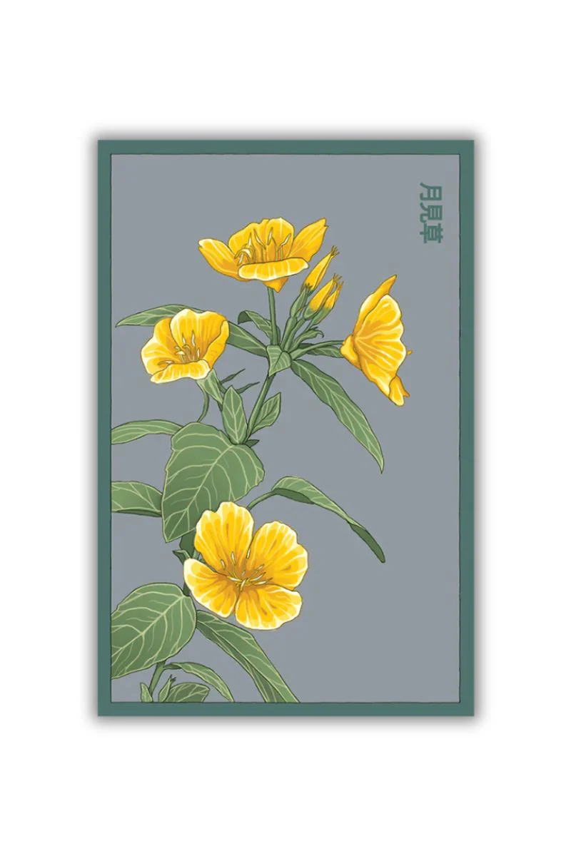 Chive Evening Primrose Flower Seeds