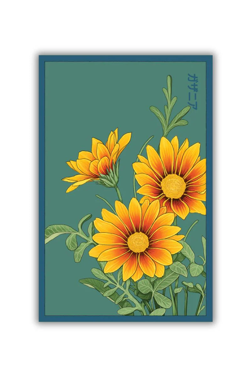 Chive Gazania Flower Seeds