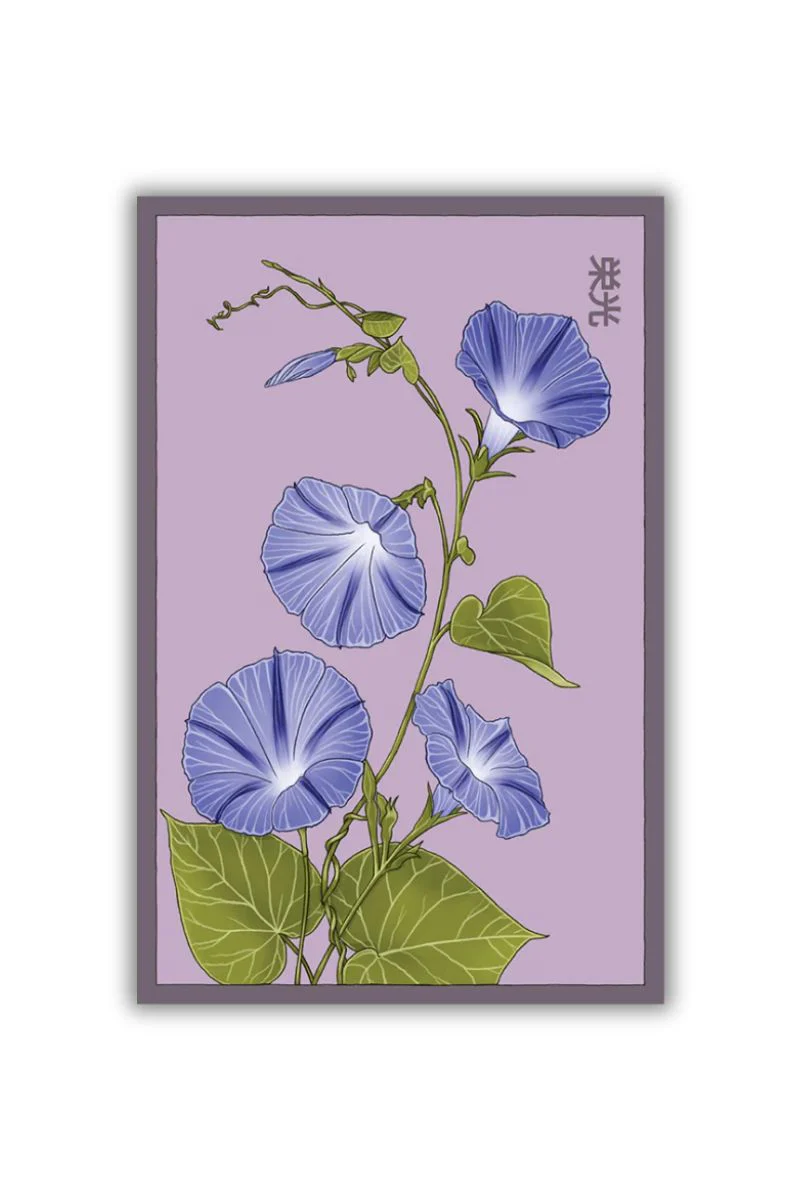 Chive Morning Glory Flower Seeds