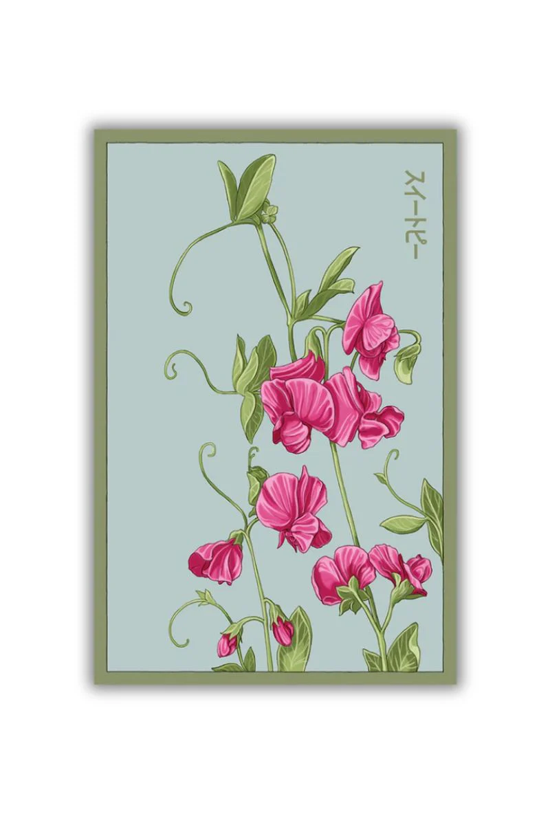 Chive Sweet Pea Flower Seeds