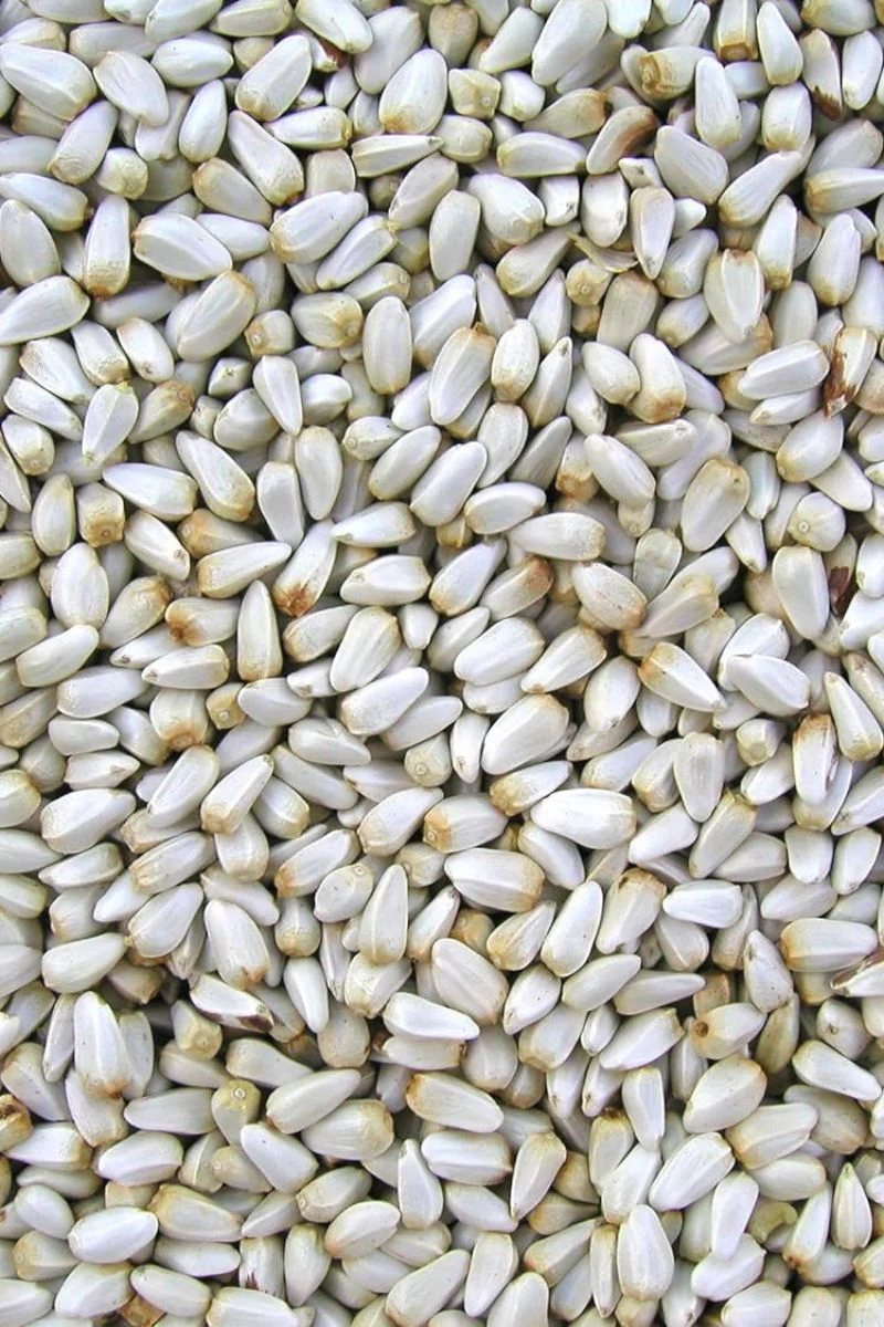 Cole's Safflower Bird Seed 10 lb - Image 2