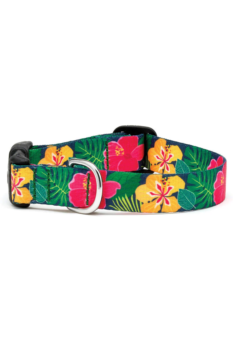 Up Country Hibiscus Dog Collar Extra Large Wide - Image 2