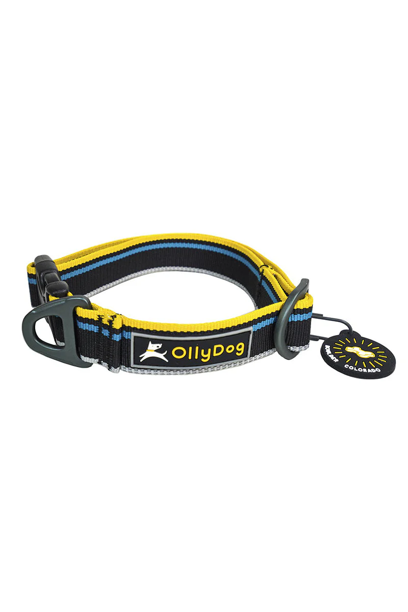 Olly Dog Urban Journey Reflective Dog Collar Small Anthracite - Image 2