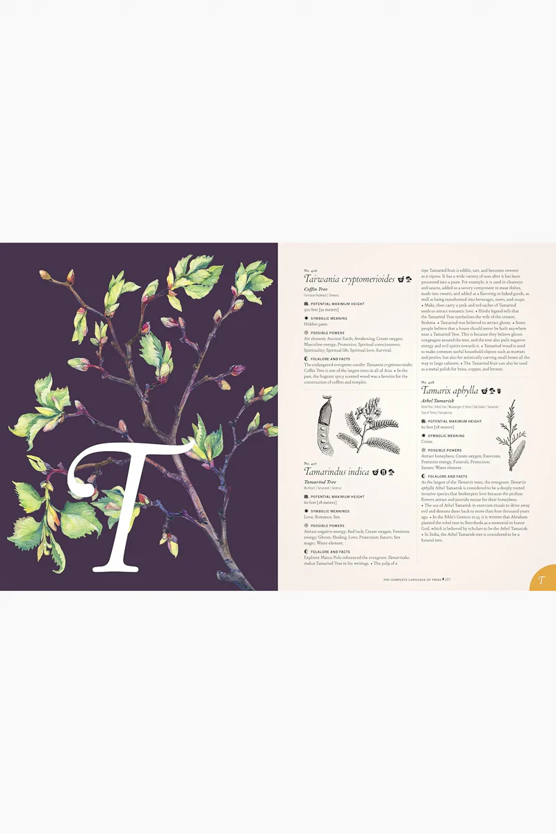 The Complete Language of Trees - Pocket Edition: A Definitive and Illustrated History - Image 2