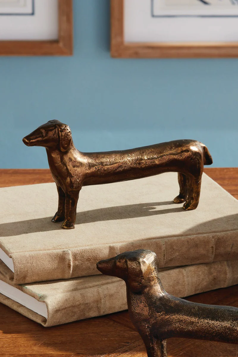Connley Dog Small