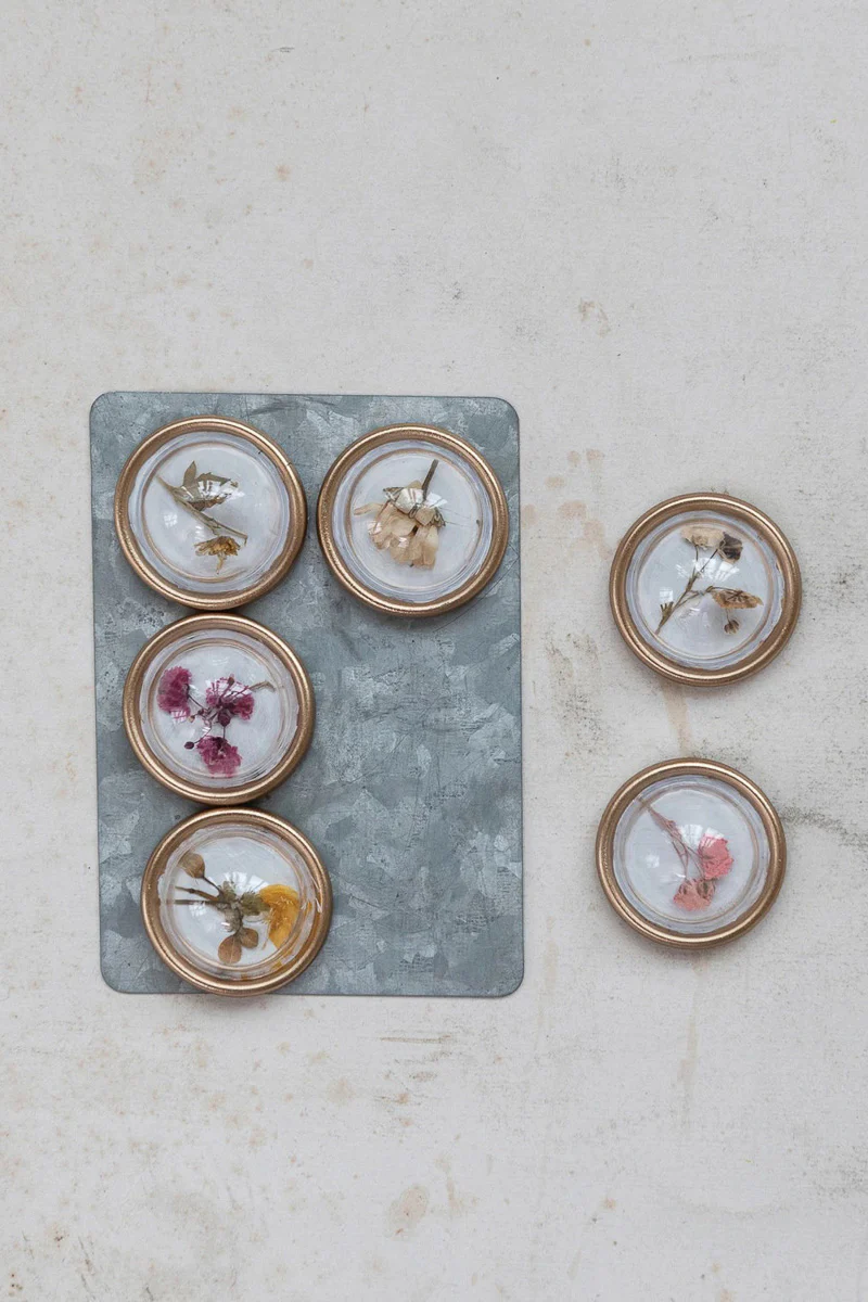 Creative Co-Op Convex Magnets with Botanicals Box Set of 6 - Image 2